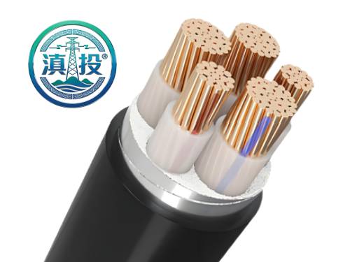 WWW.DTXL.CN